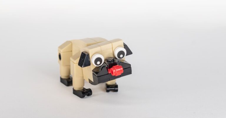 Featured image for Beyond Fetch 4 Auto Dog Toys Your Pet Needs